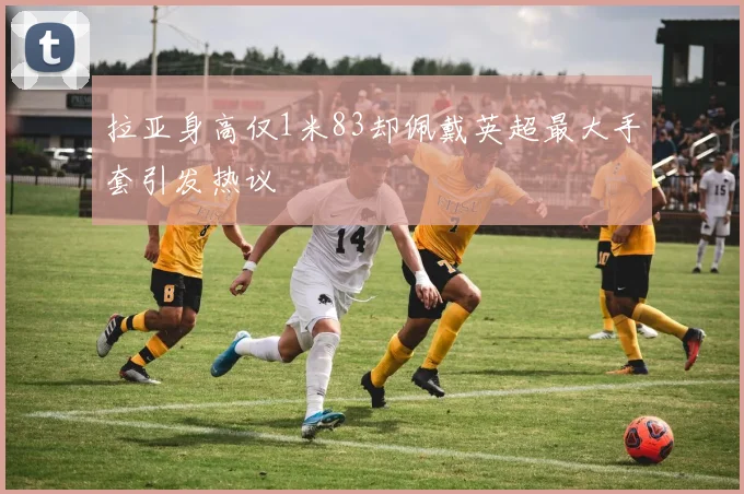 拉亚身高仅1米83却佩戴英超最大手套引发热议