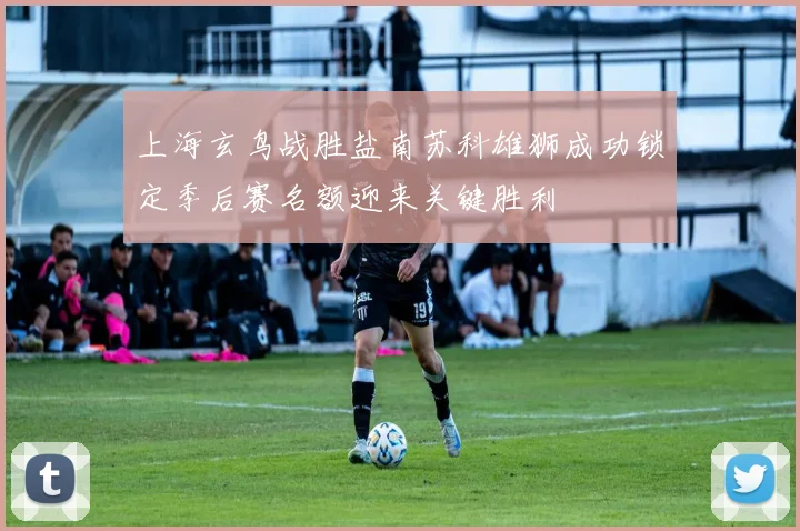 上海玄鸟战胜盐南苏科雄狮成功锁定季后赛名额迎来关键胜利